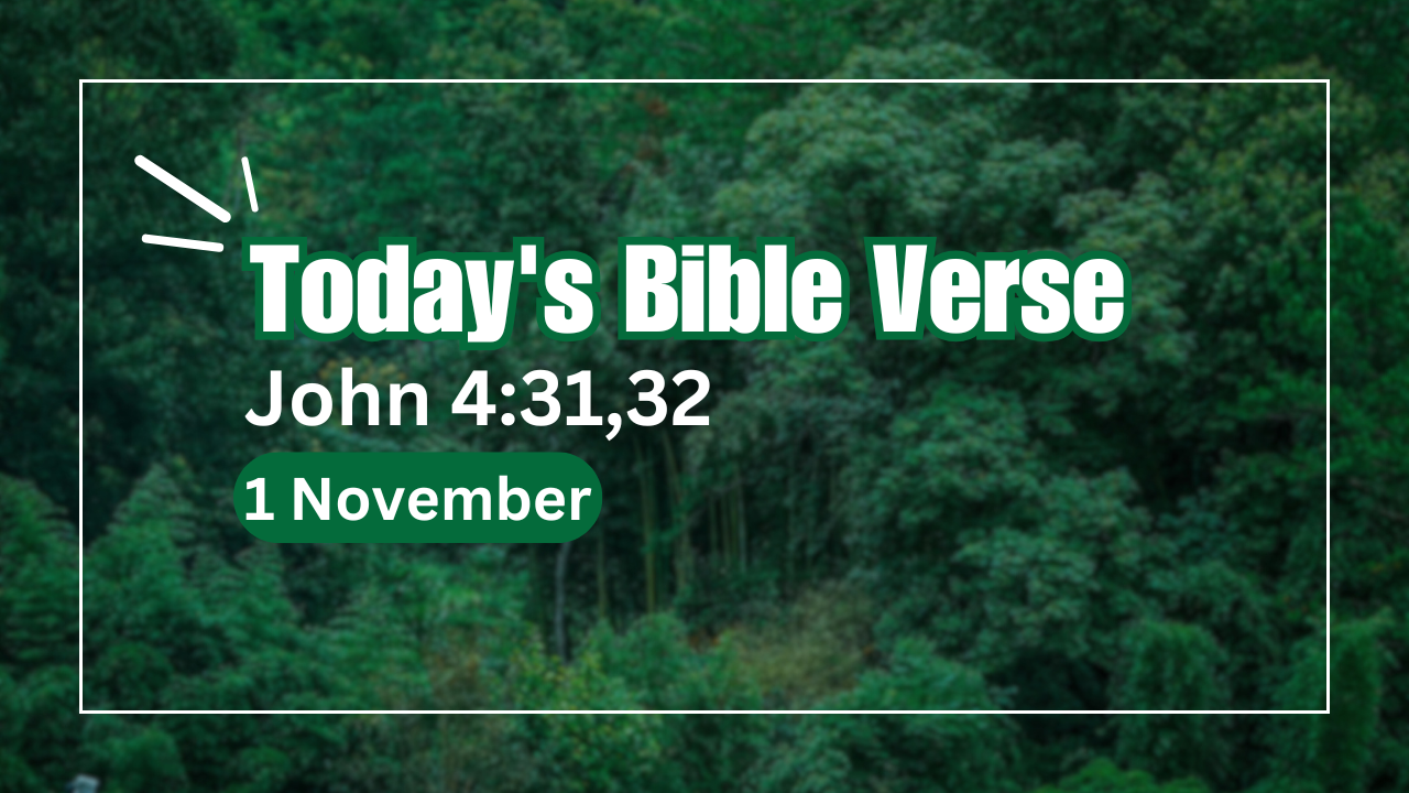 todays bible verse 1-11-2024