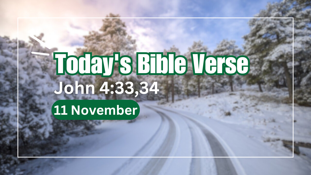 Today's bible verse 11-11-2024