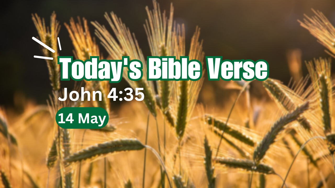 Today's bible verse is taken from John, explanined in 3 short paragraphs in simple wording