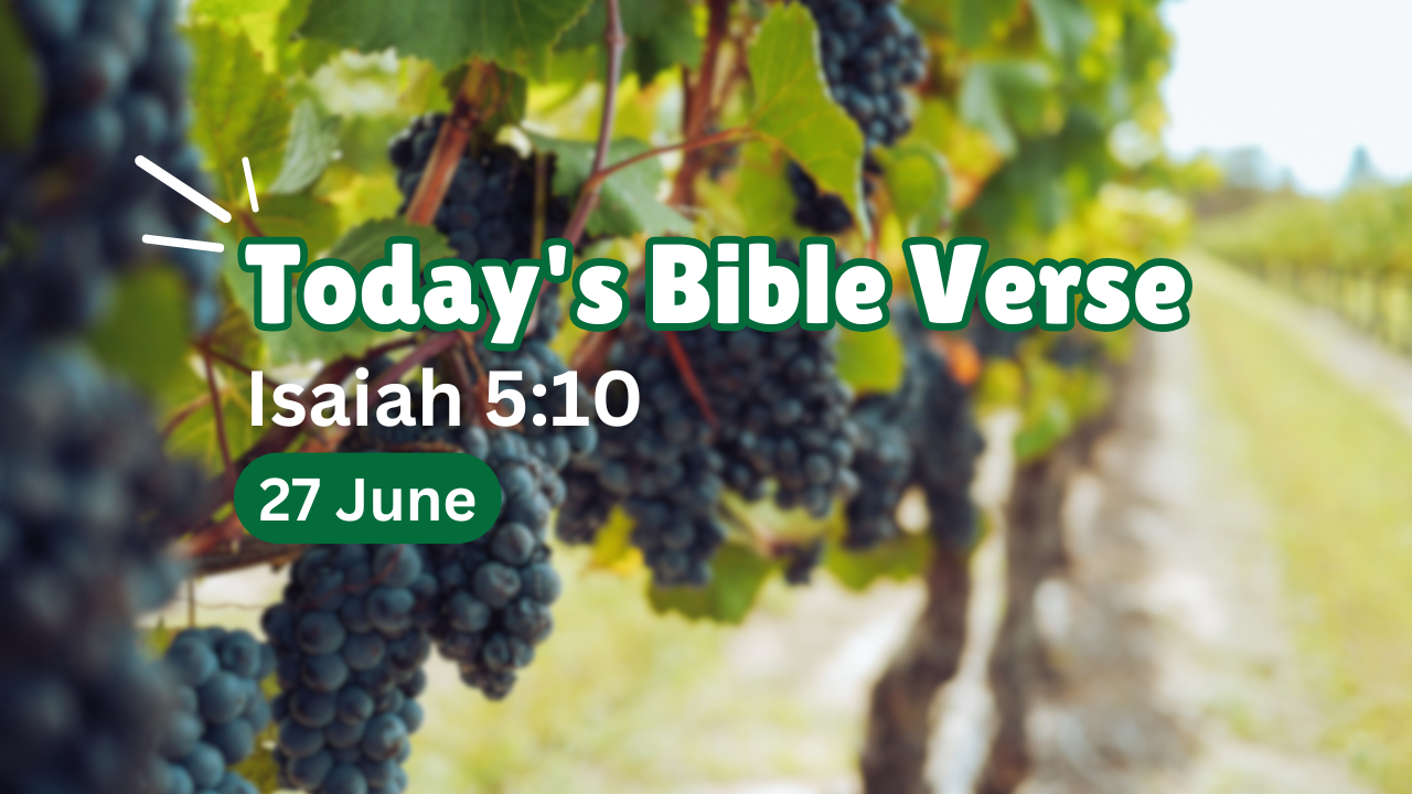 Today's bible verse visuals contains vineyard in the background picture and with latest date and book from verse is taken